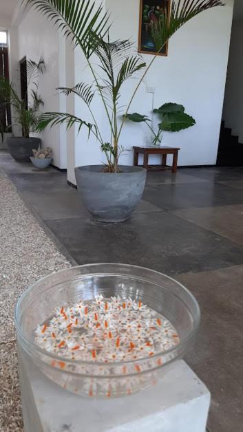 Akurala Beach Boutique Resort Dış mekan fotoğraf