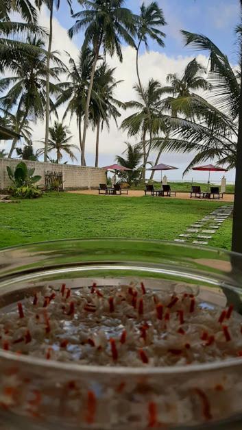 Akurala Beach Boutique Resort Dış mekan fotoğraf