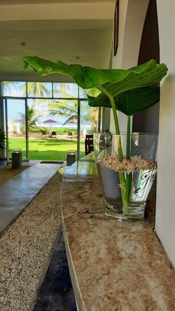 Akurala Beach Boutique Resort Dış mekan fotoğraf